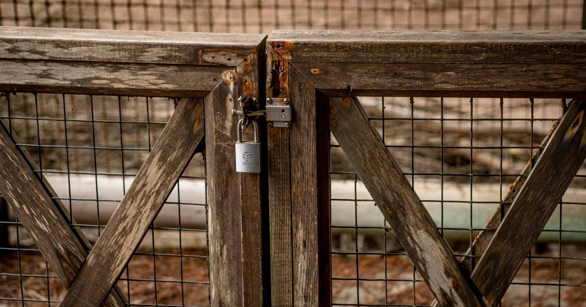 Wildcard SSL Certificate: What It Is and When to Use It